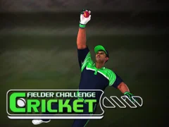 بازی Cricket Fielder Challenge آنلاین