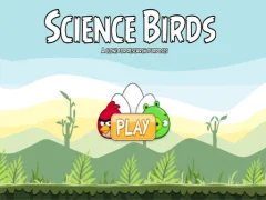 بازی Science Birds آنلاین
