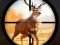 بازی Wild Hunting Clash آنلاین