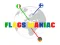 بازی Flags Maniac آنلاین