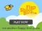 بازی Flap Shoot Birdie آنلاین