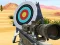 بازی Hit Targets Shooting آنلاین