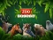 بازی ZOO Trivia آنلاین