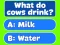 بازی Trivia! Best Family Quiz آنلاین