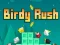 بازی Birdy Rush آنلاین