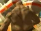 بازی Monster Simulator آنلاین