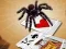 بازی Jumping Spider آنلاین