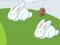 بازی Crazy Eggs آنلاین