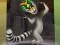 بازی King Julien: Trommel-Tanz آنلاین