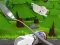 بازی Monte's Zott: Flight on a spoon آنلاین