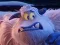 بازی Smallfoot Puzzle آنلاین