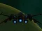 بازی Spaceship Arena آنلاین