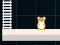 بازی Hamster Grid Even Odd آنلاین