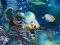 بازی Sunken Gold آنلاین
