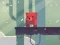 بازی Bear Chase آنلاین