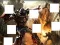 بازی Transformers 3 image puzzles آنلاین