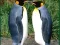 بازی Penguin Puzzle آنلاین
