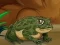 بازی Frogs Matching آنلاین