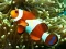 بازی Underwater Hidden Numbers آنلاین