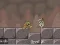 بازی Roly-Poly Eliminator 2 آنلاین