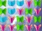 بازی Butterfly Collector آنلاین