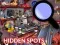 بازی Hidden Spots In The Room آنلاین