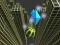 بازی Marble Rolling Stunt آنلاین