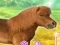 بازی My Dear Pony آنلاین