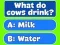 بازی Trivia Best Family Quiz آنلاین