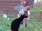 بازی Deer Simulator 3D آنلاین