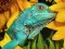 بازی Ultimate Puzzles Animals 6 آنلاین