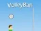 بازی VolleyBall آنلاین