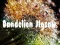 بازی Dandelion Jigsaw آنلاین