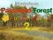 بازی Mysterious Password Forest Autumn Edition 2 آنلاین
