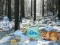 بازی Winter Wonderland Forest Adventure آنلاین