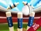 بازی Mini Cricket: Ground Championship World Cup 2019 آنلاین