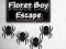 بازی Floret Boy Escape آنلاین