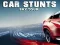 بازی Car Stunts Sky Tour آنلاین