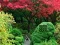 بازی Maple Leaf Garden Escape آنلاین