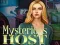 بازی Mysterious host آنلاین