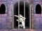 بازی Victory Rabbit Escape آنلاین