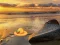 بازی Escape From Sunset Beach آنلاین