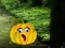 بازی Help The Hungry Monkey آنلاین