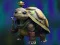 بازی Isolated Turtle Escape آنلاین