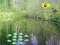 بازی Sunlight Forest Adventure آنلاین