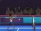 بازی Badminton Brawl آنلاین