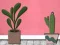 بازی Find Houseplant آنلاین