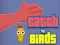 بازی Catch the Birds آنلاین