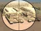 بازی Camo Sniper آنلاین