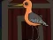 بازی Cute Godwit Escape آنلاین